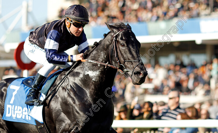 Topgear-0001 
 TOPGEAR (Stephane Pasquier) wins The Thoroughbred Industry Employee Awards Challenge Stakes
Newmarket 11 Oct 2024 - pic Steven Cargill / Racingfotos.com