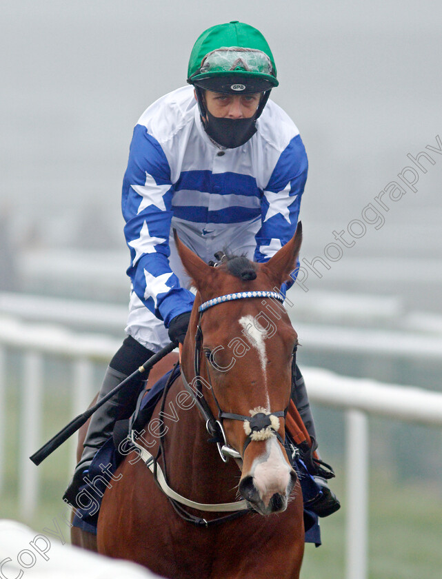 Tipperary-Tiger-0001 
 TIPPERARY TIGER (Ben Curtis) winner of The Betfair Cock O'The North EBF Maiden Stakes
Doncaster 7 Nov 2020 - Pic Steven Cargill / Racingfotos.com