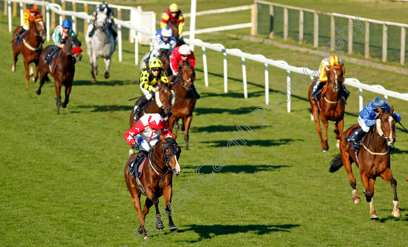 Jackamundo-0002 
 JACKAMUNDO (left, Harrison Shaw) beats DAS KAPITAL (right) in The Cazoo Handicap
Yarmouth 18 Oct 2022 - Pic Steven Cargill / Racingfotos.com