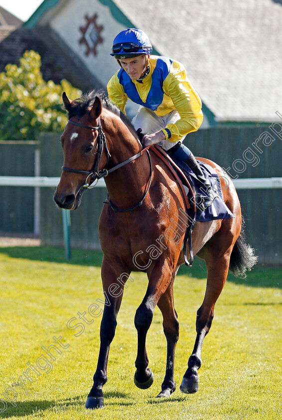 Zafeer-0001 
 ZAFEER (David Egan)
Yarmouth 18 Sep 2019 - Pic Steven Cargill / Racingfotos.com