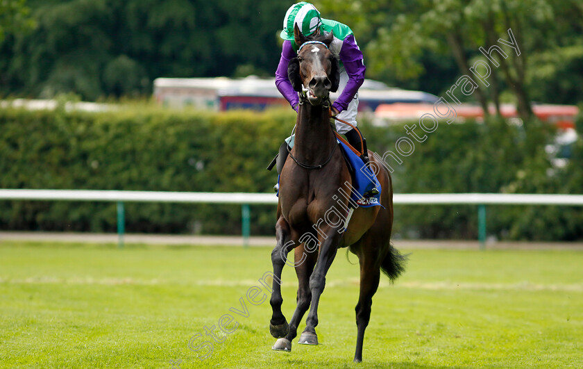 Vadream-0001 
 VADREAM (Daniel Tudhope)
Haydock 25 May 2024 - Pic Steven cargill / Racingfotos.com