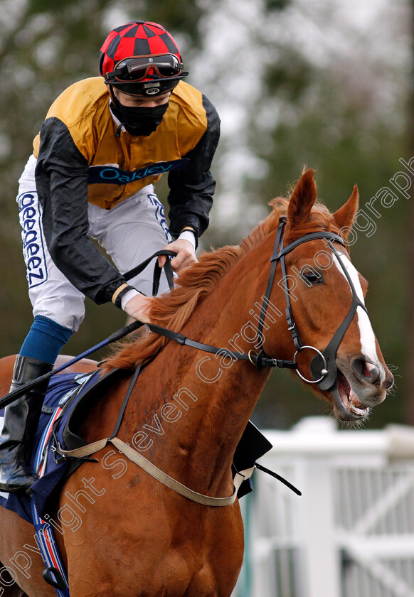 Wisper-0001 
 WISPER (David Probert)
Lingfield 19 Dec 2020 - Pic Steven Cargill / Racingfotos.com