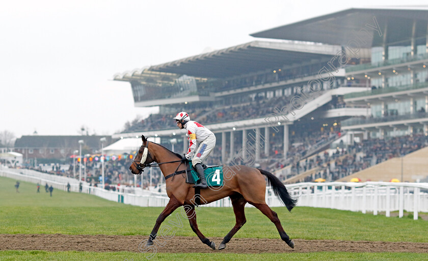 Ballygrifincottage-0001 
 BALLYGRIFINCOTTAGE (Harry Skelton)
Cheltenham 13 Dec 2024 - Pic Steven Cargill / Racingfotos.com