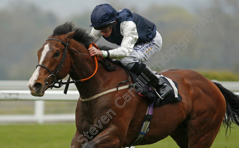 Rohaan-0007 
 ROHAAN (Ryan Moore) wins The Qipco British Champions Series Pavilion Stakes
Ascot 28 Apr 2021 - Pic Steven Cargill / Racingfotos.com