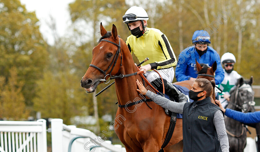 Save-A-Forest-0001 
 SAVE A FOREST (Callum Shepherd)
Lingfield 8 May 2021 - Pic Steven Cargill / Racingfotos.com