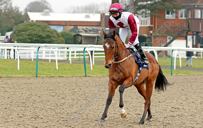 Isla-Vista-0001 
 ISLA VISTA (Rossa Ryan)
Lingfield 6 Feb 2021 - Pic Steven Cargill / Racingfotos.com