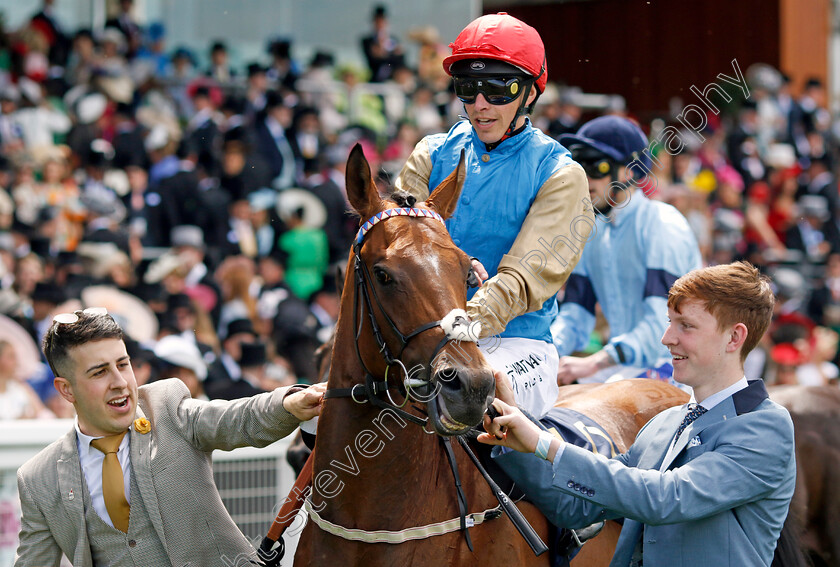 Shareholder-0003 
 SHAREHOLDER (James Doyle) winner of The Norfolk Stakes
Royal Ascot 20 Jun 2024 - Pic Steven Cargill / Racingfotos.com