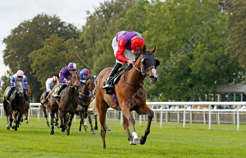 Say-Hello-0002 
 SAY HELLO (James Doyle) wins The Visit racingtv.com Nursery
Newmarket 28 Jul 2023 - Pic Steven Cargill / Racingfotos.com