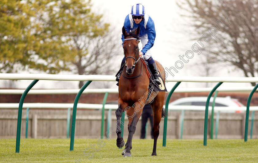 Maqsad-0001 
 MAQSAD (Jim Crowley) winner of The bet365 EBF Fillies Maiden Stakes Div1
Newmarket 16 Apr 2019 - Pic Steven Cargill / Racingfotos.com