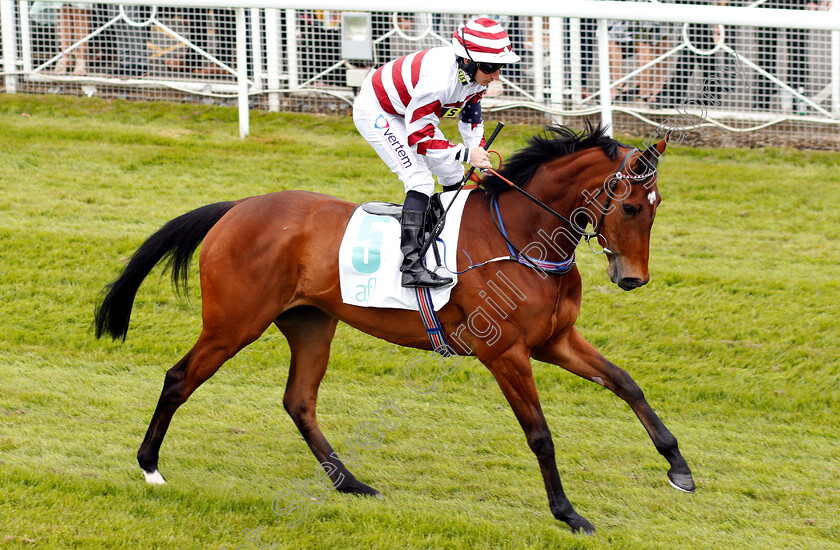 Here s-Alice-0001 
 HERE'S ALICE (P J McDonald)
Chester 9 May 2018 - Pic Steven Cargill / Racingfotos.com