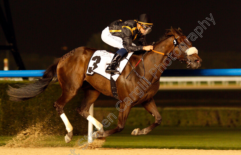 Claim-The-Roses-0004 
 CLAIM THE ROSES (Mickael Barzalona) wins The BGA Billets Trophy Handicap Meydan 25 Jan 2018 - Pic Steven Cargill / Racingfotos.com