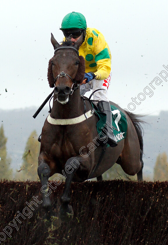 Lillington-0001 
 LILLINGTON (Tom Scudamore)
Cheltenham 27 Oct 2018 - Pic Steven Cargill / Racingfotos.com