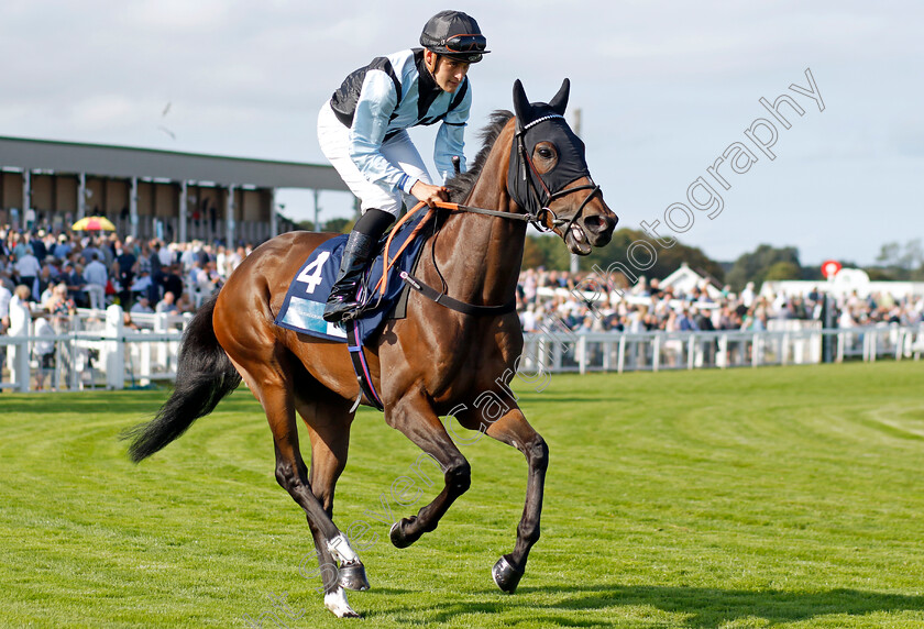 Topanticipation-0001 
 TOPANTICIPATION (Pierre-Louis Jamin)
Yarmouth 14 Sep 2022 - Pic Steven Cargill / Racingfotos.com