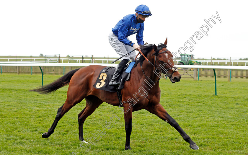 Chief-Of-Staff-0001 
 CHIEF OF STAFF (Callum Shepherd)
Newmarket 14 May 2021 - Pic Steven Cargill / Racingfotos.com