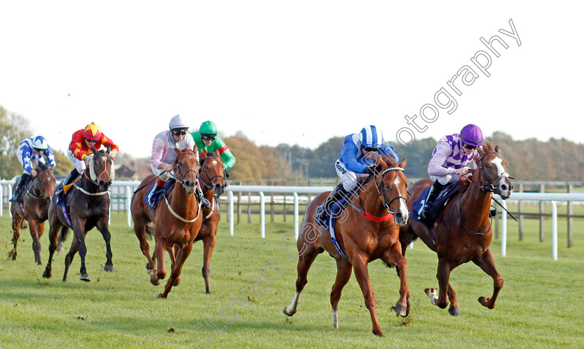 Raasel-0002 
 RAASEL (2nd right, Jim Crowley) beats AMARILLO STAR (right) in The Starsports.bet Novice Stakes
Bath 16 Oct 2019 - Pic Steven Cargill / Racingfotos.com