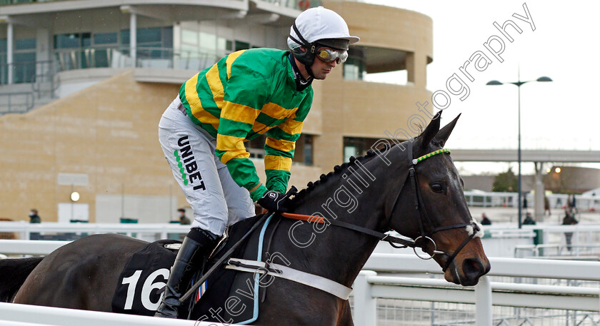 Countister-0001 
 COUNTISTER (Nico de Boinville)
Cheltenham 15 Nov 2020 - Pic Steven Cargill / Racingfotos.com