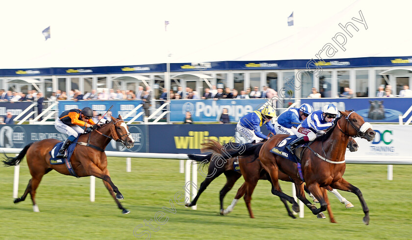 Fox-Tal-0003 
 FOX TAL (Oisin Murphy) wins The William Hill Leading Racecourse Bookmaker Conditions Stakes
Doncaster 11 Sep 2019 - Pic Steven Cargill / Racingfotos.com