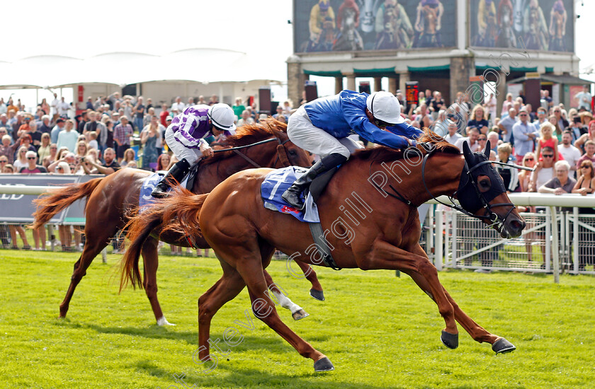 Yibir-0004 
 YIBIR (James Doyle) wins The Sky Bet Great Voltigeur Stakes
York 18 Aug 2021 - Pic Steven Cargill / Racingfotos.com