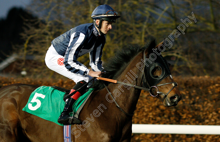 Dorchester-0001 
 DORCHESTER (Aaron Jones)
Kempton 5 Jan 2019 - Pic Steven Cargill / Racingfotos.com