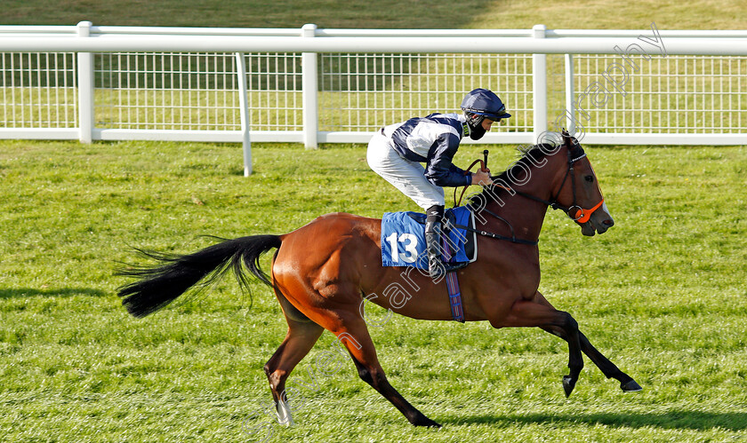 Little-Downs-0001 
 LITTLE DOWNS (Rossa Ryan)
Salisbury 11 Jul 2020 - Pic Steven Cargill / Racingfotos.com