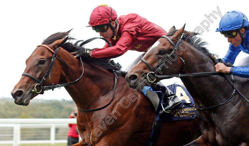 Enemy-0005 
 ENEMY (Oisin Murphy) wins The Charbonnel Et Walker British EBF Maiden Stakes
Ascot 6 Sep 2019 - Pic Steven Cargill / Racingfotos.com