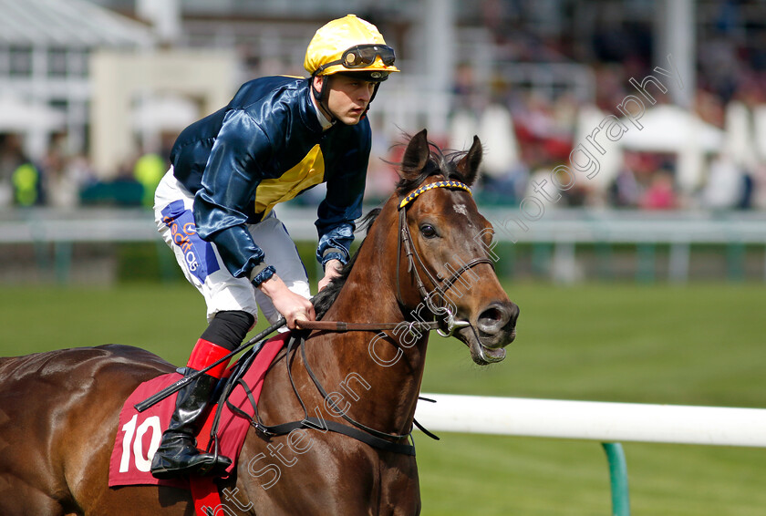 Tourist-0001 
 TOURIST (Clifford Lee)
Haydock 8 Jun 2024 - Pic Steven Cargill / Racingfotos.com