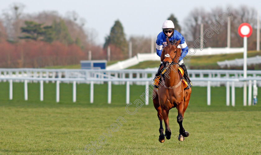 Cyrname-0002 
 CYRNAME (Harry Cobden)
Ascot 20 Feb 2021 - Pic Steven Cargill / Racingfotos.com