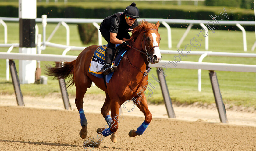 Justify-0005 
 JUSTIFY exercising in preparation for The Belmont Stakes
Belmont Park 8 Jun 2018 - Pic Steven Cargill / Racingfotos.com