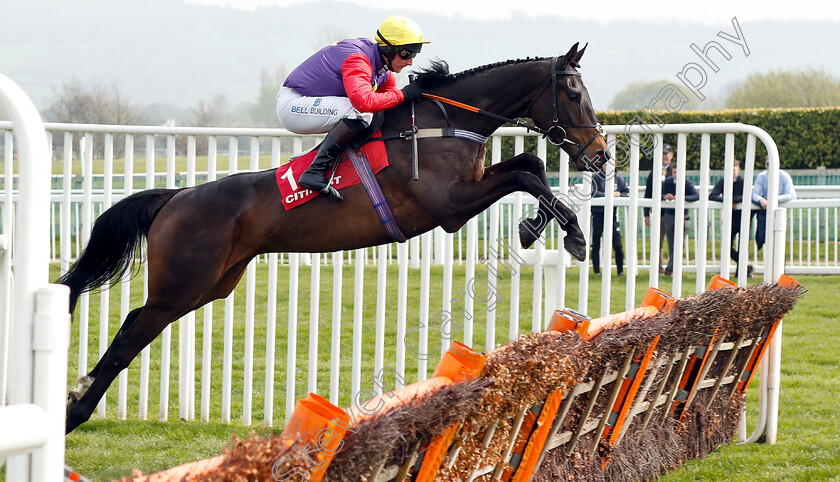 Dashel-Drasher-0003 
 DASHEL DRASHER (Matt Griffiths) wins The Citipost Novices Hurdle
Cheltenham 17 Apr 2019 - Pic Steven Cargill / Racingfotos.com