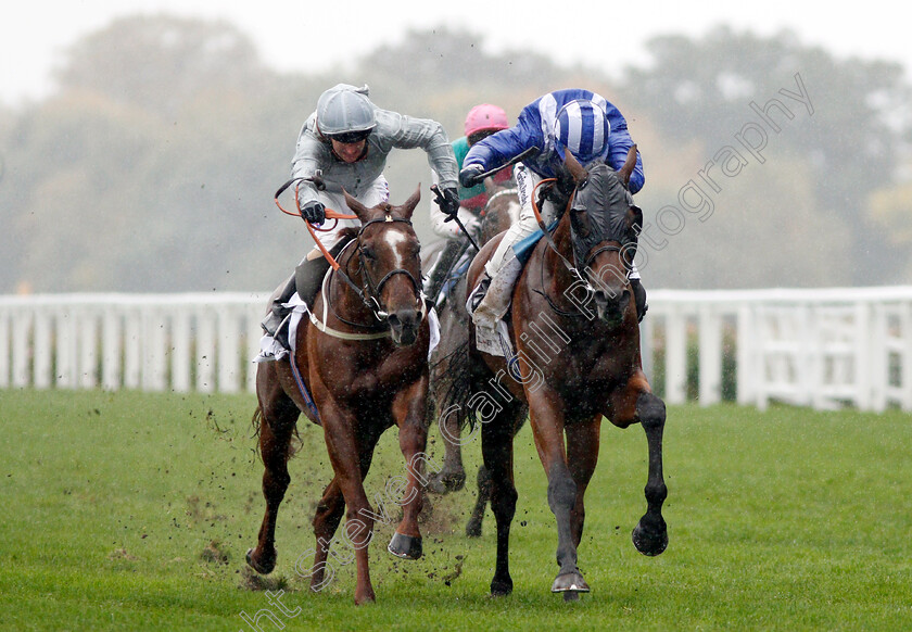 Laraaib-0003 
 LARAAIB (right, Jim Crowley) beats COMMUNIQUE (left) in The Stella Artois Cumberland Lodge Stakes
Ascot 6 Oct 2018 - Pic Steven Cargill / Racingfotos.com