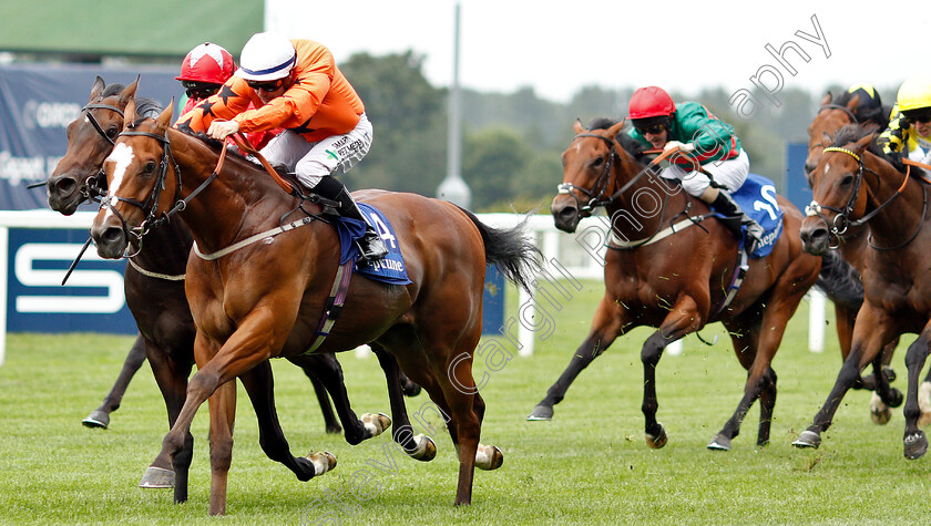 Only-Spoofing-0002 
 ONLY SPOOFING (Kieran O'Neill) wins The Neptune Investment Management Supports Child Bereavement UK Handicap
Ascot 26 Jul 2019 - Pic Steven Cargill / Racingfotos.com