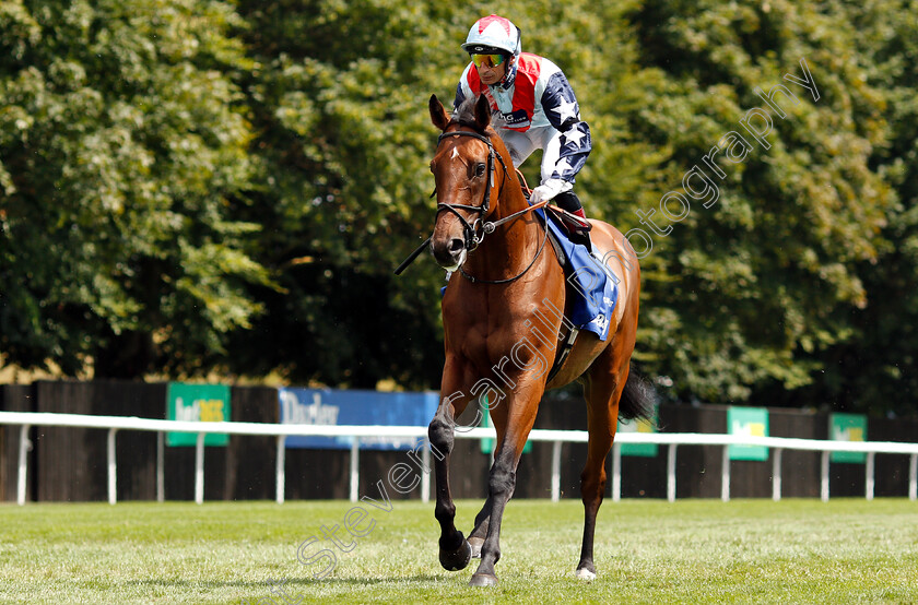 Sir-Dancealot-0001 
 SIR DANCEALOT (Gerald Mosse)
Newmarket 14 Jul 2018 - Pic Steven Cargill / Racingfotos.com