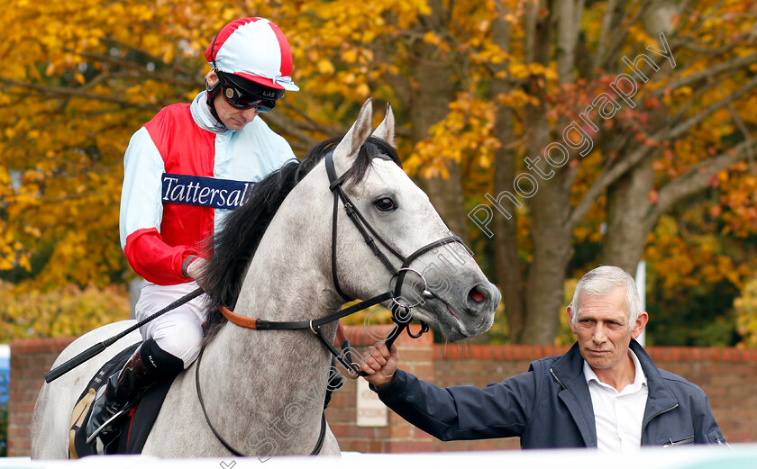 Burano-Boy-0001 
 BURANO BOY (Robert Havlin)
Newmarket 23 Oct 2019 - Pic Steven Cargill / Racingfotos.com