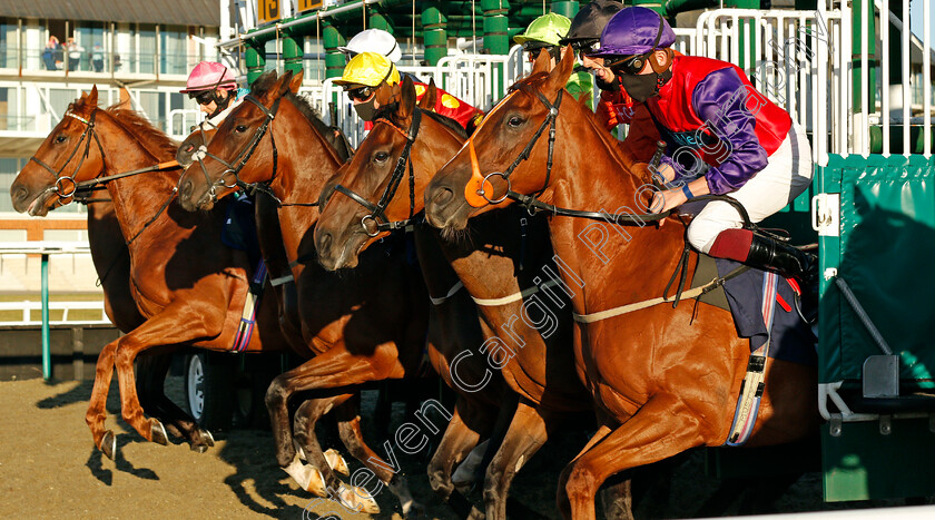 Lingfield-0001 
 The field break from the stalls for the Betway Maiden Stakes
Lingfield 4 Aug 2020 - Pic Steven Cargill / Racingfotos.com