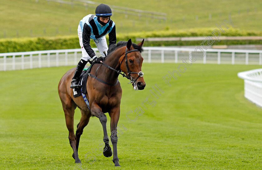 Aura-Blue-0001 
 AURA BLUE (Rossa Ryan)
Goodwood 21 May 2021 - Pic Steven Cargill / Racingfotos.com