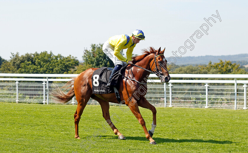 Chicago-Critic-0002 
 CHICAGO CRITIC (Ben Coen)
Goodwood 30 Jul 2024 - Pic Steven Cargill / Racingfotos.com