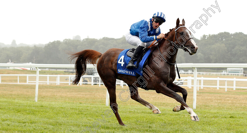 No-And-No-Al-Maury-0004 
 NO AND NO AL MAURY (Francois Xavier Bertras) wins The UAE Embassy In London International Stakes
Newbury 29 Jul 2018 - Pic Steven Cargill / Racingfotos.com