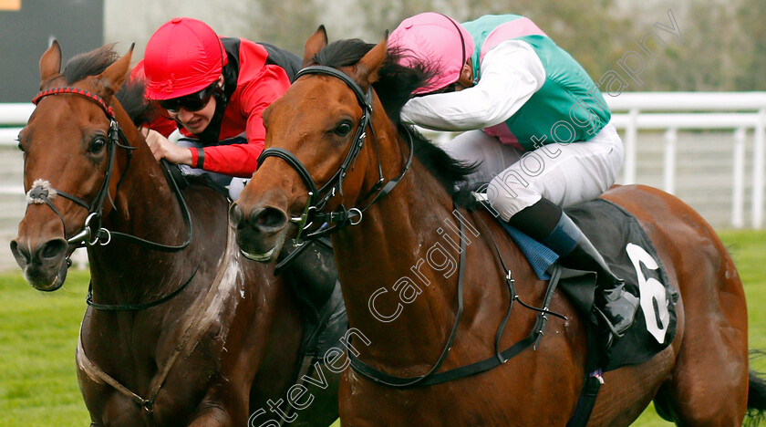 Monarchs-Glen-0003 
 MONARCHS GLEN (right, Robert Tart) beats WHAT ABOUT CARLO (left) in The EBF Stallions Foundation Stakes Goodwood 27 Sep 2017 - Pic Steven Cargill / Racingfotos.com