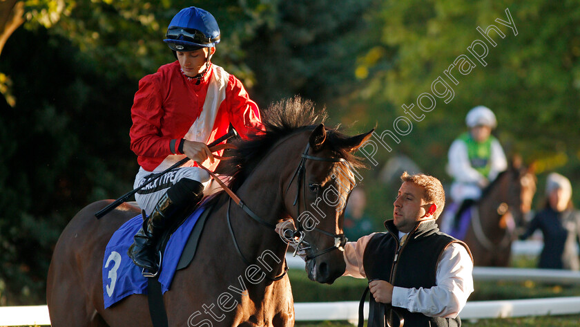 Cindy-Bear-0001 
 CINDY BEAR (Harry Bentley)
Kempton 2 Oct 2019 - Pic Steven Cargill / Racingfotos.com