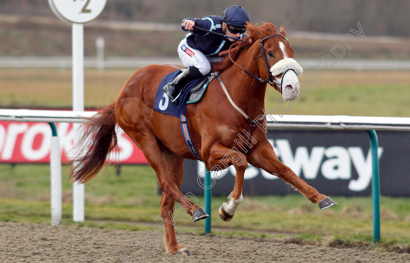 Harvey-Dent-0011 
 HARVEY DENT (Hollie Doyle) wins The Ladbrokes Home Of The Odds Boost Novice Median Auction Stakes
Lingfield 25 Jan 2019 - Pic Steven Cargill / Racingfotos.com