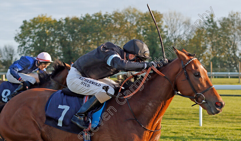 Manucci-0005 
 MANUCCI (Martin Dwyer) wins The Starsportsbet.co.uk Handicap
Bath 16 Oct 2019 - Pic Steven Cargill / Racingfotos.com