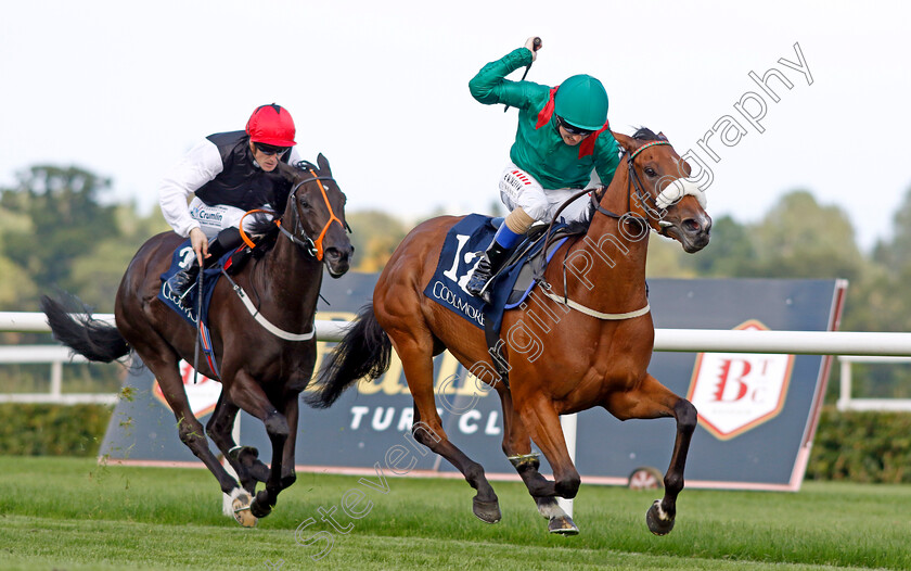 Tahiyra-0003 
 TAHIYRA (Chris Hayes) wins The Coolmore America Matron Stakes
Leopardstown 9 Sep 2023 - Pic Steven Cargill / Racingfotos.com