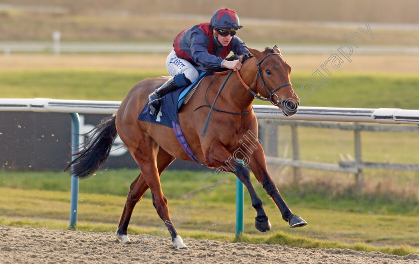 Ahorsecalledwanda-0006 
 AHORSECALLEDWANDA (Joey Haynes) wins The Ladbrokes Where The Nation Plays Fillies Novice Stakes
Lingfield 8 Feb 2020 - Pic Steven Cargill / Racingfotos.com