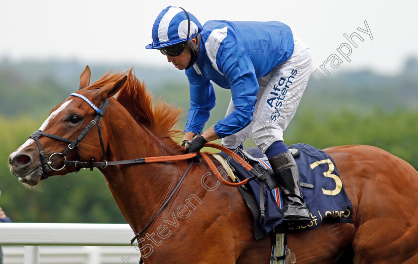 Mohaafeth-0010 
 MOHAAFETH (Jim Crowley) wins The Hampton Court Stakes
Royal Ascot 17 Jun 2021 - Pic Steven Cargill / Racingfotos.com