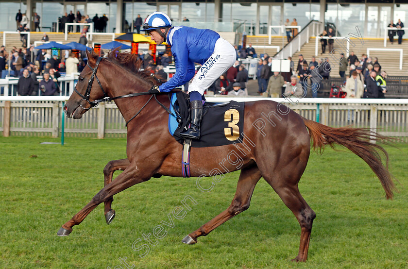 Laatansa 
 LAATANSA (Jim Crowley)
Newmarket 20 Oct 2021 - Pic Steven Cargill / Racingfotos.com