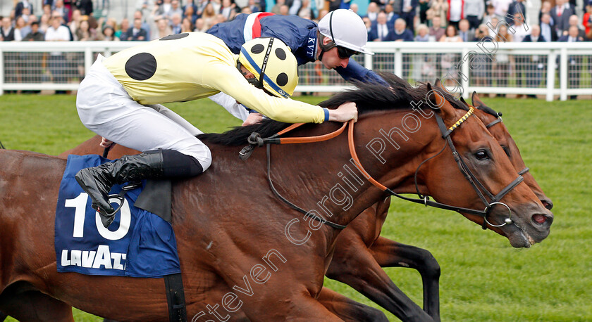 Apparate-0004 
 APPARATE (Rossa Ryan) beats PERSIAN MOON (farside) in The Lavazza Handicap
Ascot 7 Sep 2019 - Pic Steven Cargill / Racingfotos.com