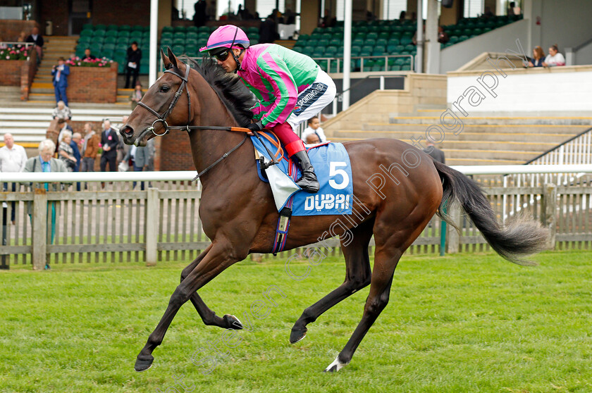 Good-American 
 GOOD AMERICAN (Frankie Dettori)
Newmarket 8 Oct 2021 - Pic Steven Cargill / Racingfotos.com