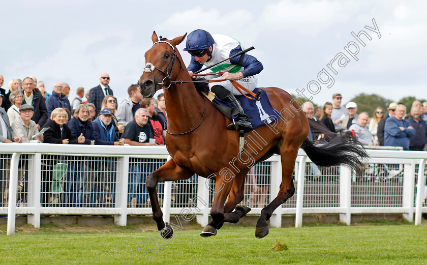 Glenfinnan-0004 
 GLENFINNAN (Ryan Moore) wins The British Stallion Studs EBF Maiden Stakes
Yarmouth 15 Sep 2022 - Pic Steven Cargill / Racingfotos.com