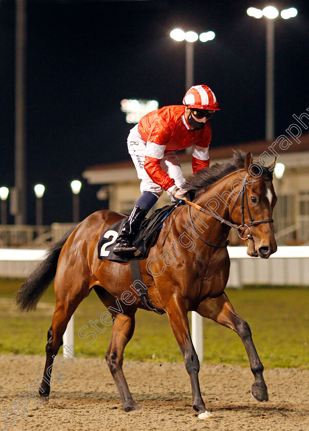 La-Tihaty-0004 
 LA TIHATY (Cameron Noble) winner of The Support The Injured Jockeys Fund Novice Stakes
Chelmsford 22 Jan 2021 - Pic Steven Cargill / Racingfotos.com