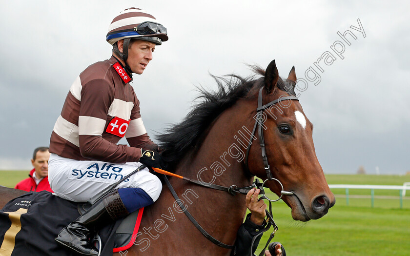 Silks-Pass 
 SILKS PASS (JIm Crowley)
Newmarket 29 Oct 2021 - Pic Steven Cargill / Racingfotos.com